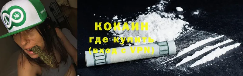 где можно купить наркотик  Нытва  Cocaine Fish Scale 