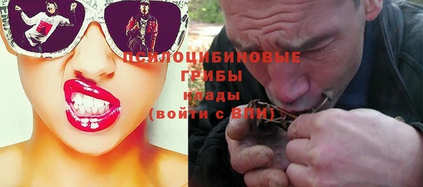 прущие грибы Наволоки