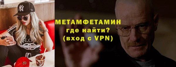 прущие грибы Наволоки