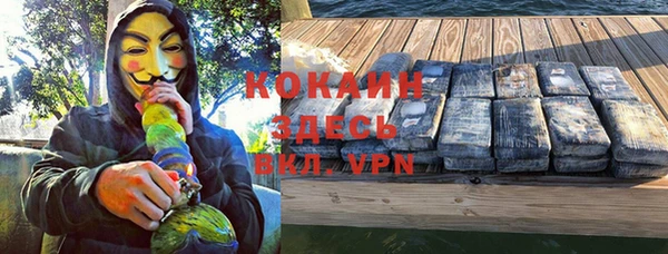 дживик Навашино