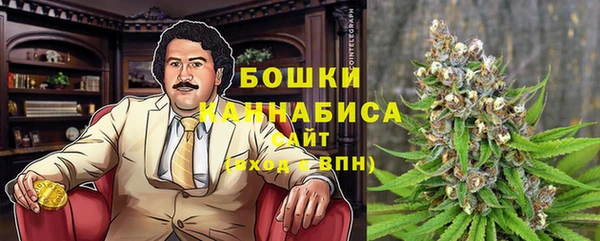 прущие грибы Наволоки