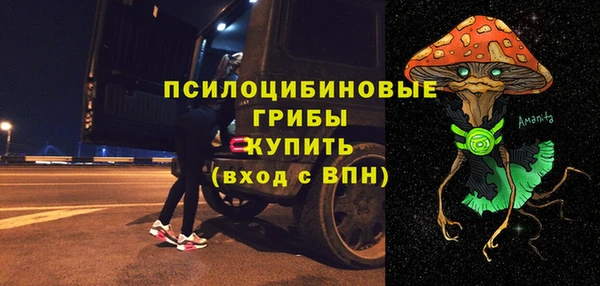 дживик Надым