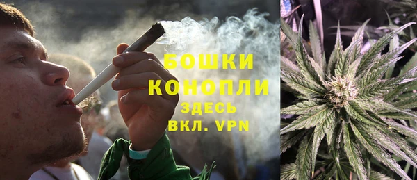 дживик Надым