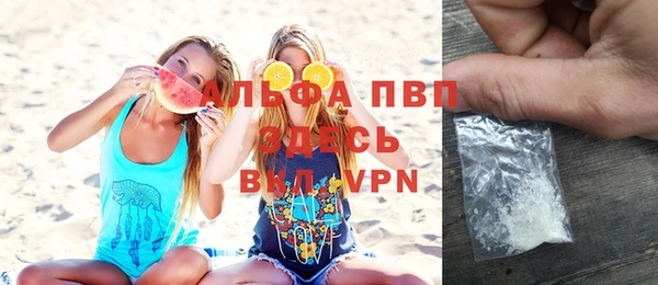 прущие грибы Наволоки