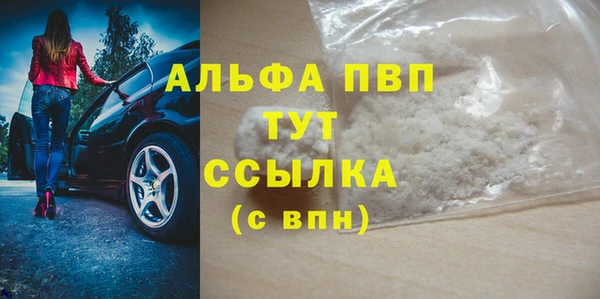 прущие грибы Наволоки