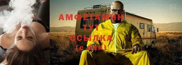 дживик Надым