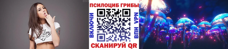 Псилоцибиновые грибы Psilocybe  МЕГА ССЫЛКА  Нытва 